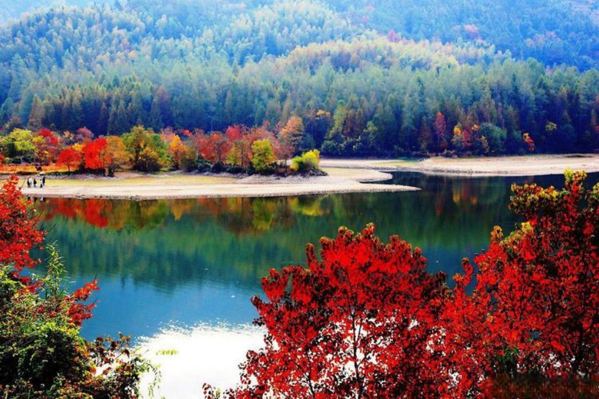 Longwan Group Forest Park